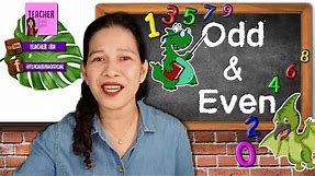 Odd and Even Numbers | Groups of Numbers | Kindergarten Mathematics | Teacher Ira