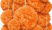 Orange Tissue Paper Pom Poms - Assorted Sizes - Orange Party Decorations for Birthdays, Weddings, Baby Showers and Special Occasions by Avoseta (16 Piece Set)