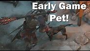Diablo 4 guide - Early game pet!