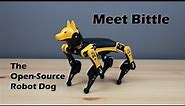 Meet Bittle, an Advanced Open-Source Robot Dog by Petoi