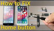 What to do if Home Button on iPhone stops working