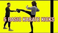 5 Basic Karate Kicks