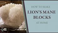 How to Make Your Own Lion's Mane Mushroom Blocks at Home