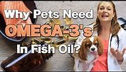 Benefits of Fish Oil for your dogs? | Veterinary Approved