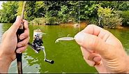 Ultralight Fishing with Gulp Minnows | 3 Hours RAW and UNCUT