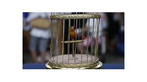 Early 20th-Century Singing Bird Cage Automaton
