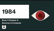 1984 | Book 3 | Chapter 6 Summary & Analysis | George Orwell