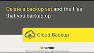 How to delete a backup set and the files that you backed up