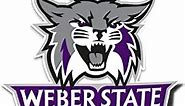 Desert Cactus Weber State University WSU Wildcats Vinyl Decal Laptop Water Bottle Car Scrapbook Sticker (IND 1)