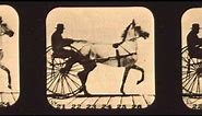 1878-1881 Eadward Muybridge - "The Attitudes of Animals in Motion" 1 - Horses