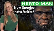 Homo Sapiens Idaltu, New Species Or Homo sapiens? Herto Man