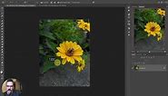 Resizing and cropping an image to print on a 4x6 printer