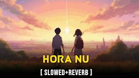 Hora Nu | Slowed+Reverb | Pearl V Puri | Sara Gurpal