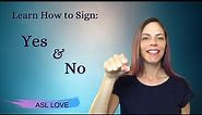 How to Sign Yes and No ASL