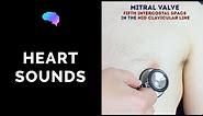 Heart murmur sounds (cardiac auscultation sounds) | UKMLA | CPSA