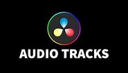 Adding & Managing Audio Tracks On The Timeline | DaVinci Resolve 18 Tutorial