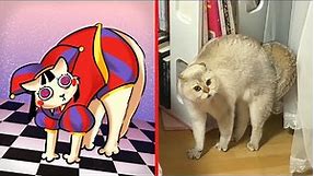 The Amazing Digital Circus Cat and Dog Version | Cat Memes