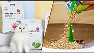 cat litter vs pellets: Which Is Better for My Cat