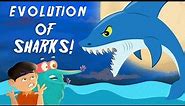 Evolution Of Sharks | The Dr. Binocs Show | Best Learning Videos For Kids | Peekaboo Kidz