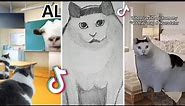 huh cat (ben chonky cat) memes tiktok compilation | #huhcat #huhcatmeme #benderchonkycat