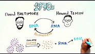 Reverse Transcriptase: an Enzyme that copies RNA to DNA