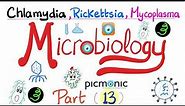Microbiology - Picmonic - Chlamydia, Rickettsia, and Mycoplasma (Atypical bacteria) - Part 13