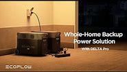 EcoFlow Whole-Home Backup Power Solution | Power Has Never Been This Easy.