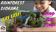 How To Make A Diorama Rainforest in A Shoebox (#schoolproject) School Science Project Ideas Simple