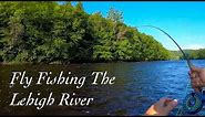 Spring Fly Fishing For Lehigh River Brown Trout