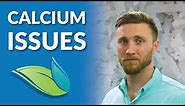 Pool Crystals, Plaster Dust, and other Calcium Issues in Pools | Orenda Whiteboard
