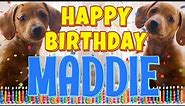 Happy Birthday Maddie! ( Funny Talking Dogs ) What Is Free On My Birthday