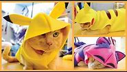 DIY Cat & Dog Clothes - Pikachu, Hoodies & More!