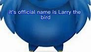 The Twitter Bird’s Actual Name