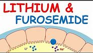 Lithium carbonate and furosemide interaction