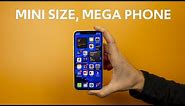 iPhone 12 Mini Review Camera plus VIDEO test