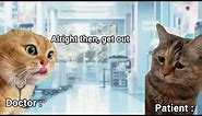 Cat Doctor with Patient | Talking Cats Memes | Storylliant