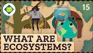 What Are Ecosystems? Crash Course Geography #15
