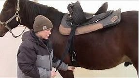 How to saddle and bridle a horse western style