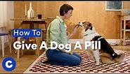 How To Give A Dog a Pill | Chewtorials