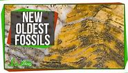 The Oldest Fossils Ever Found!