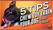 5 Tips to Chew Toy Train your Dog (w/Olive!) - Chew Toy Training