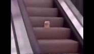 Mayonnaise on an escalator meme