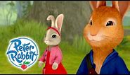 Peter Rabbit - Run Rabbit Run | Sing Along! | Cartoons for kids