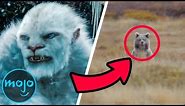 Top 5 Freaky Facts About Yetis