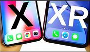 Should I buy iPhone X or iPhone XR in 2019