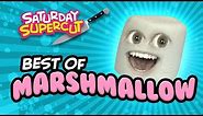 Best Marshmallow Episodes! (Saturday Supercut)