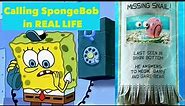 What Happens When You Call SpongeBob? Where's Gary Real Number