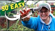 You CAN SHARPEN your garden tools EASILY and quickly