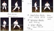 Karate Terminology: Basic stances (1)
