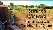 Starting a Vineyard from Scratch PART 4 - Vineyard Trellising (End post, Main Trellis and Stakes)